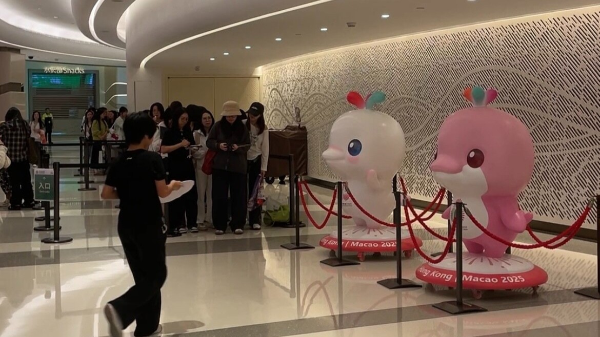 全运时刻｜“湾区顶流”在澳门爆火，乒乓男单赛事成最大焦点