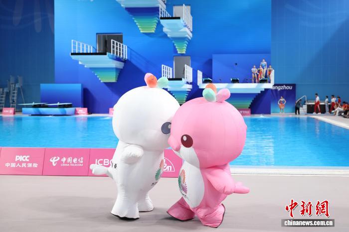 全运会上这些“动物”，藏着大湾区发展密码