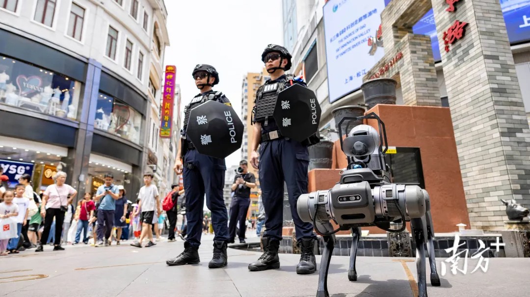 广东筑牢法治平安根基，护航高质量发展