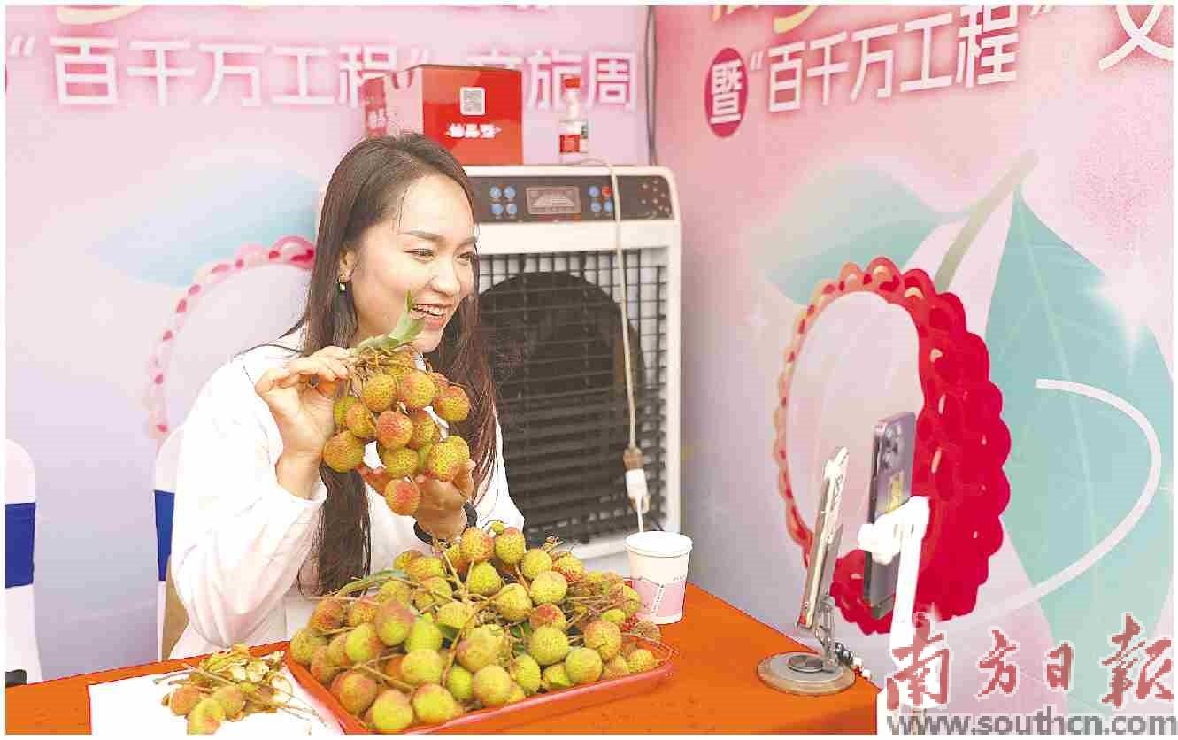 廣東荔枝銷售“第一棒”迎來開門紅！“仙品荔”已預售近億元