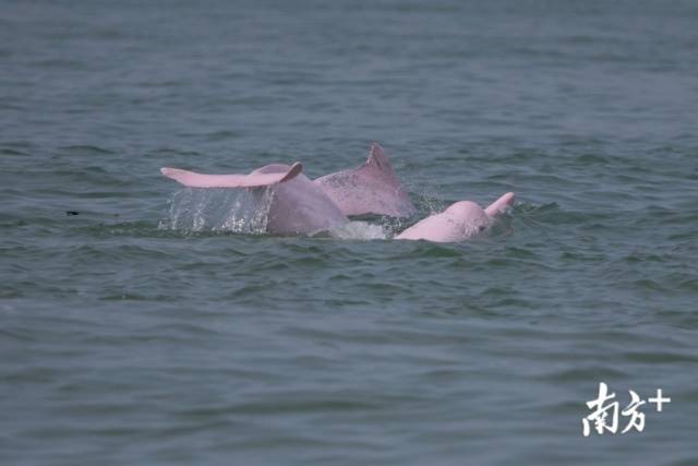 跟小伙伴一起玩水再开心不过了。