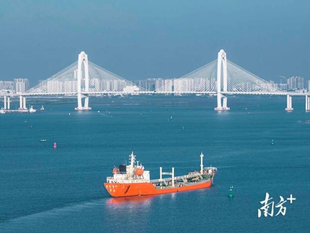 水东湾跨海大桥飞跃湛蓝的海水。