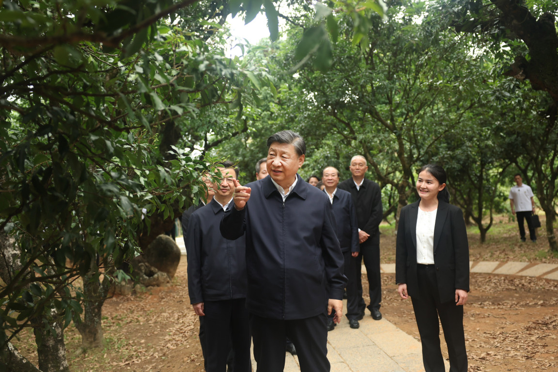 Xi Jinping inspeciona cidade de Maoming, no sul da China