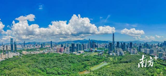 从深圳莲花山公园上空航拍深圳中心区。南方日报资料图