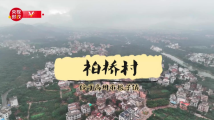 习近平广东行丨借“荔”发力“土特产”里有大文章 习近平广东行丨借“荔”发力“土特产”里有大文章
