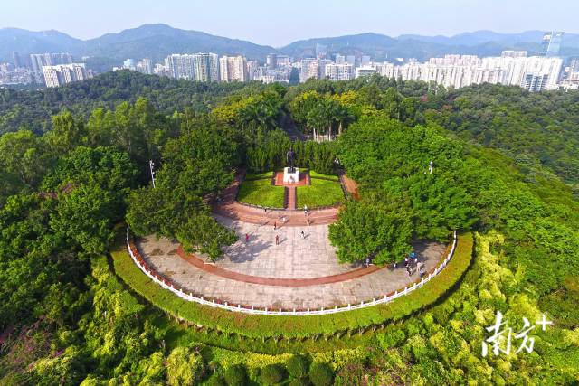 深圳莲花山公园。南方日报资料图