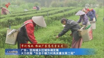广东:坚持城乡区域协调发展 大力实施“百县千镇万村高质量发展工程” 广东:坚持城乡区域协调发展 大力实施“百县千镇万村高质量发展工程”