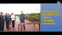 第1视点丨习近平考察红树林 第1视点丨习近平考察红树林