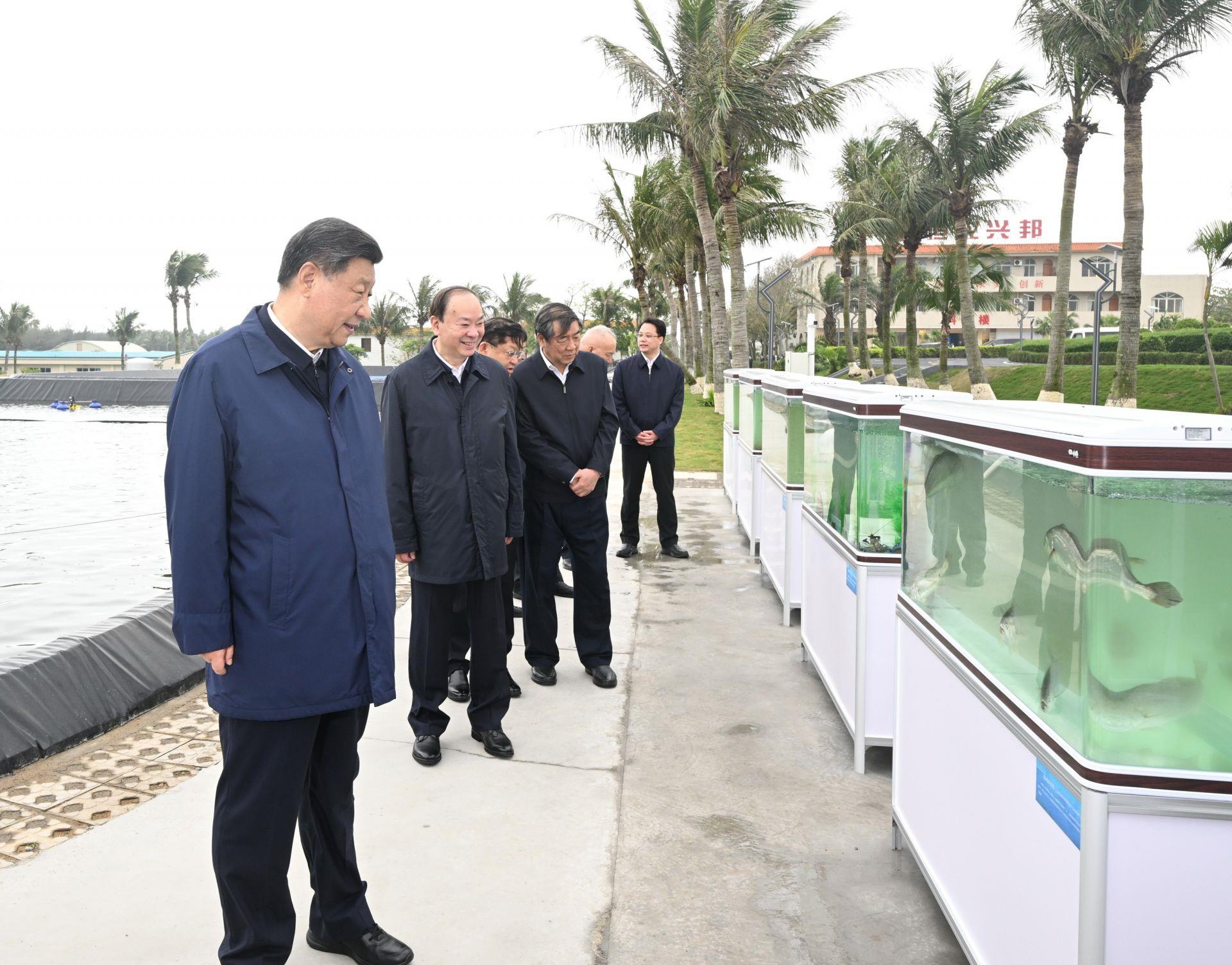 △2023年4月10日，习近平总书记在广东湛江国家863计划项目海水养殖种子工程南方基地考察调研。