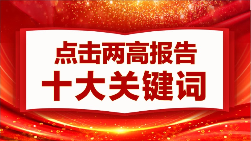 图表丨点击两高报告十大关键词