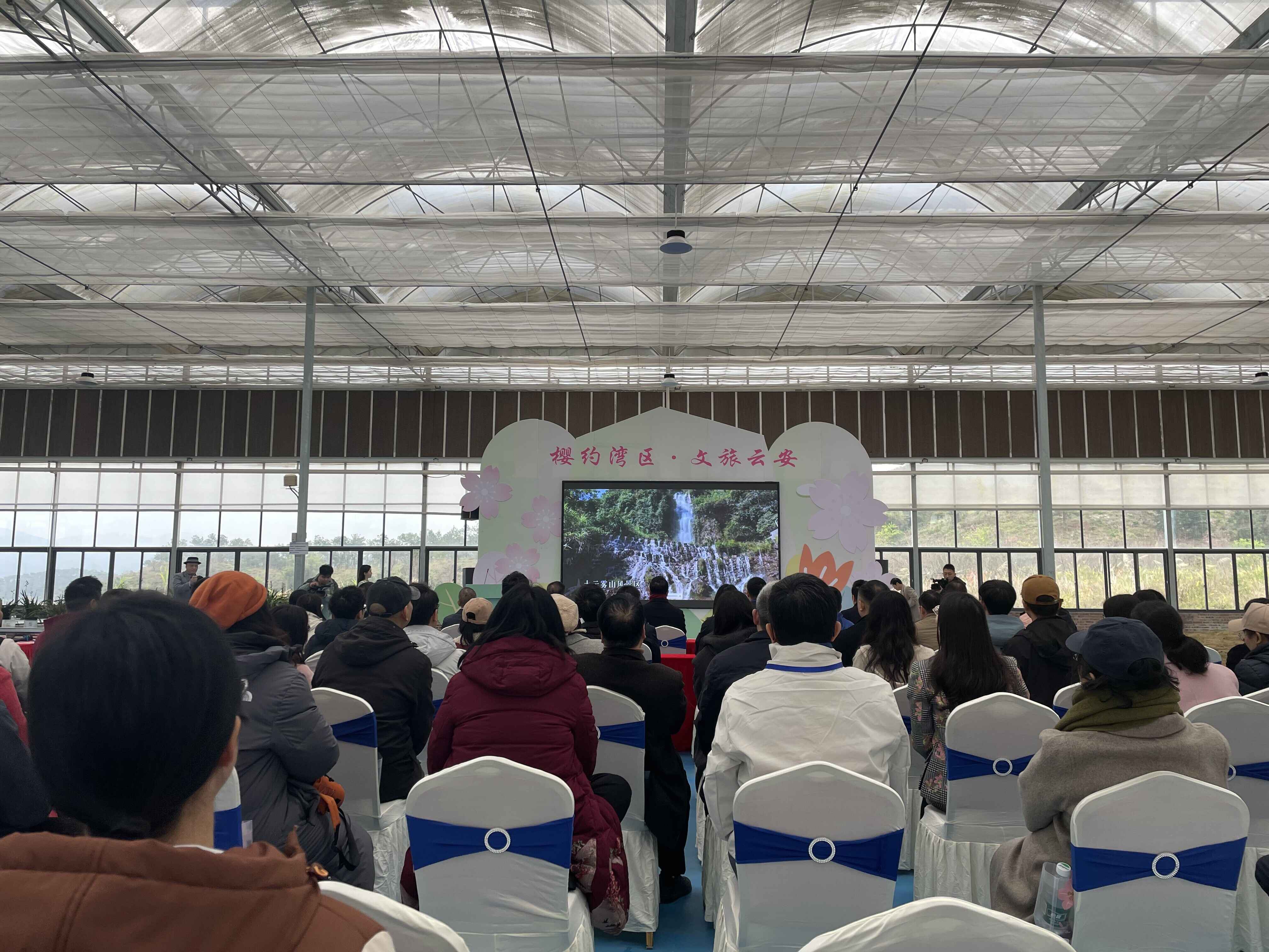 樱”你而来！“南海万人云安行”暨樱花旅游季活动启动