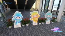 电子竞技将首次正式亮相亚运会,运动员盼夺牌 电子竞技将首次正式亮相亚运会,运动员盼夺牌