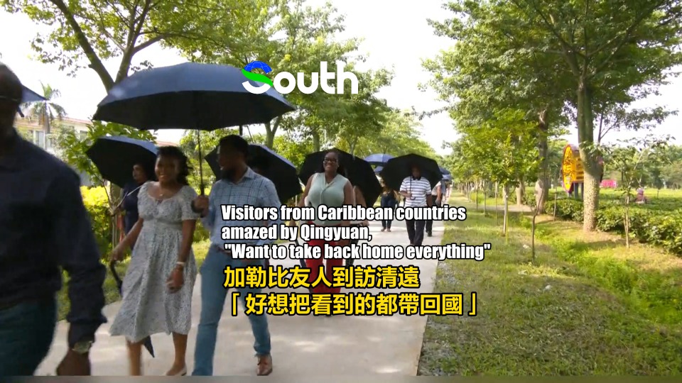 Qingyuan cityscape and Yingde Black Tea charm visitors from Caribbean countries