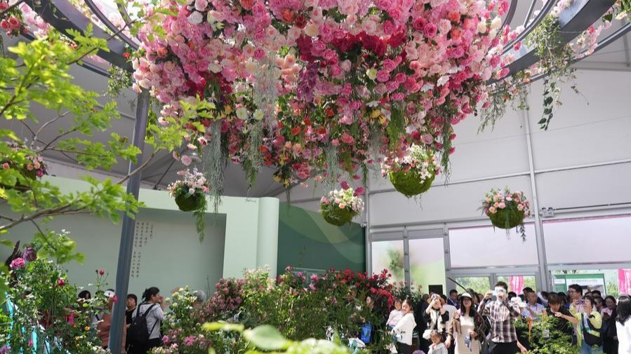 Chinese "space roses" sprout via historic suborbital mission