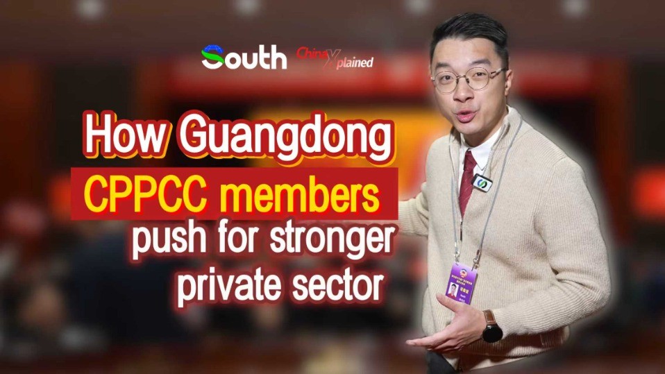 China Xplained | How Guangdong CPPCC members push for stronger private sector