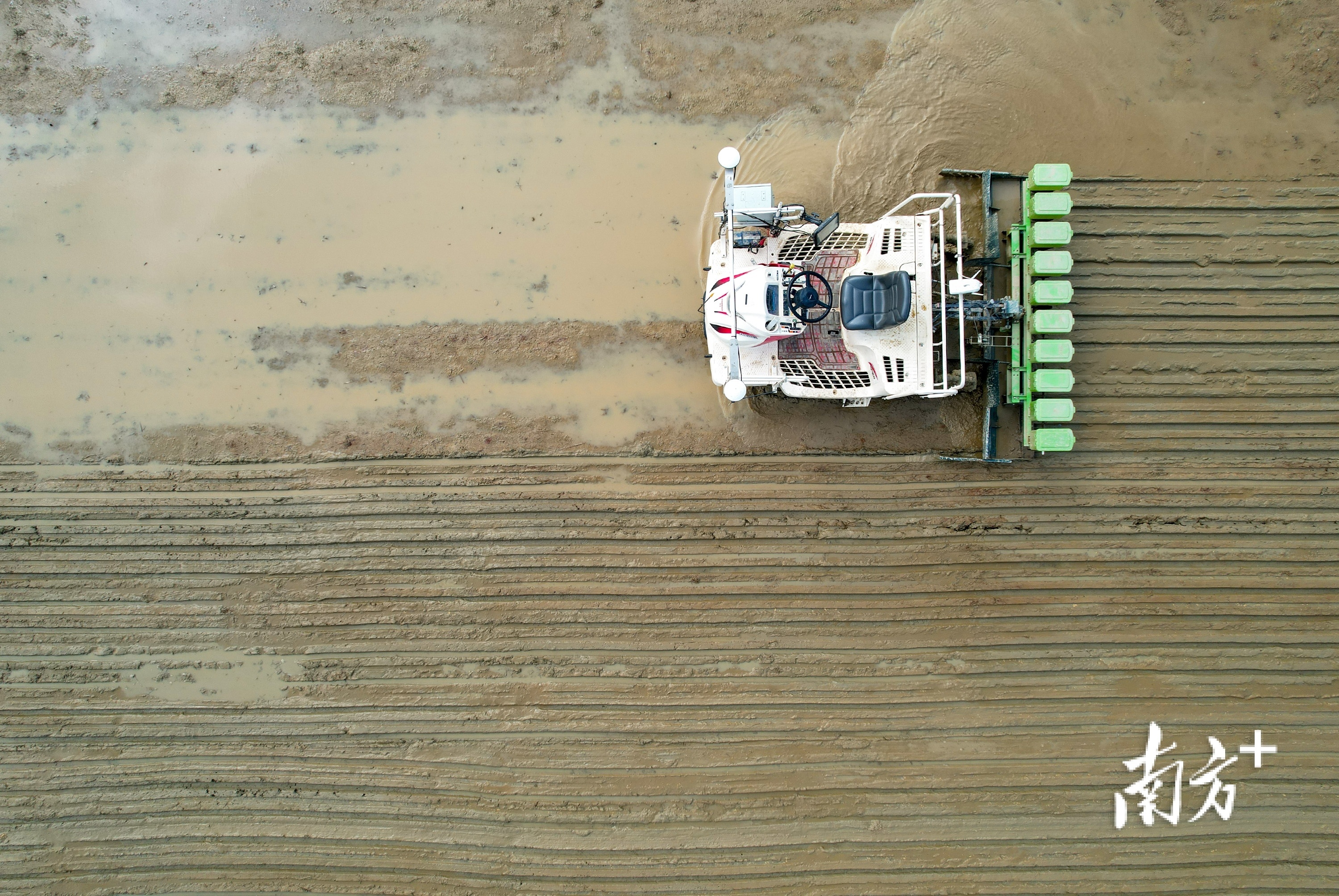 在华南农业大学水稻无人农场，罗锡文院士团队演示无人驾驶水直播作业。