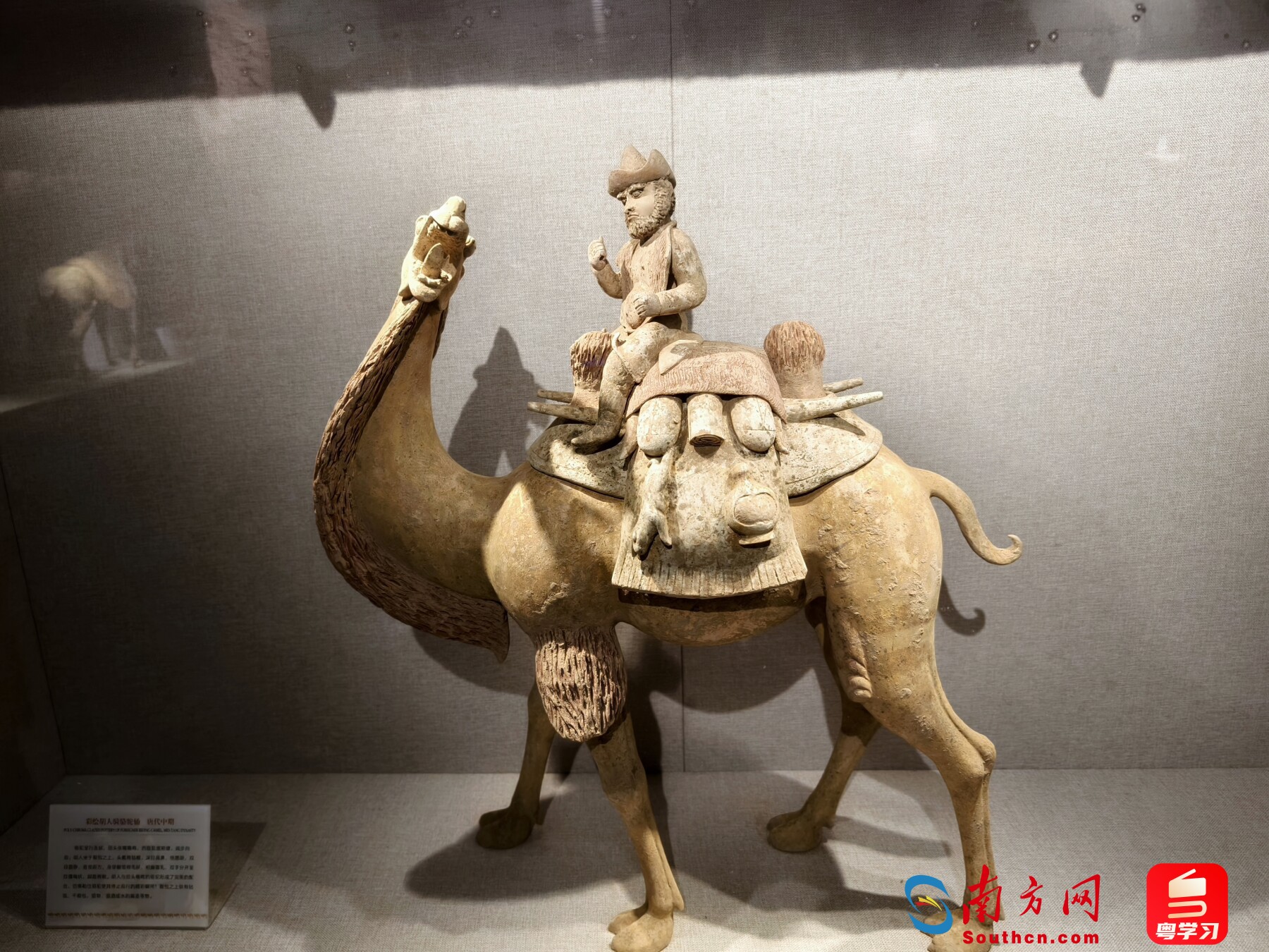 唐代彩绘胡人骑骆驼俑