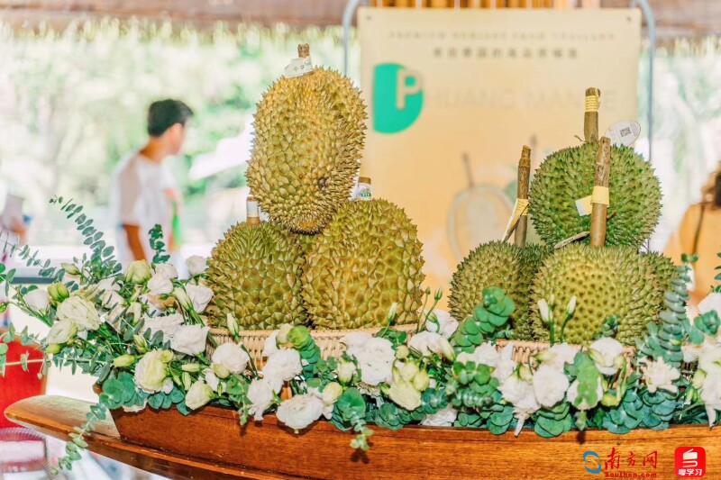 “2022泰国榴莲节”现场展出众多榴莲品种，南宣供图