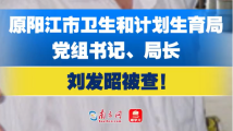 原阳江市卫生和计划生育局党组书记、局长刘发昭被查