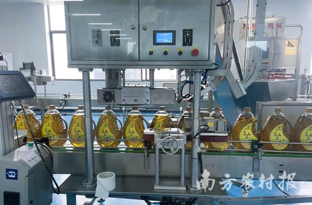 南粤福和工厂内的油茶生产加工线条