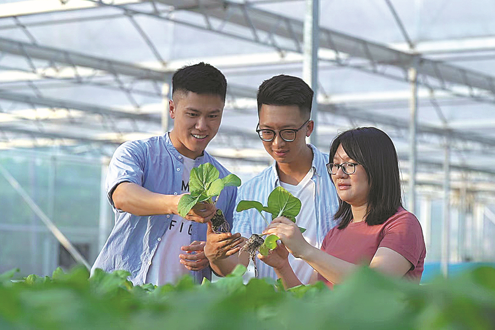 Guangdong policies support youth from Hong Kong, Macao