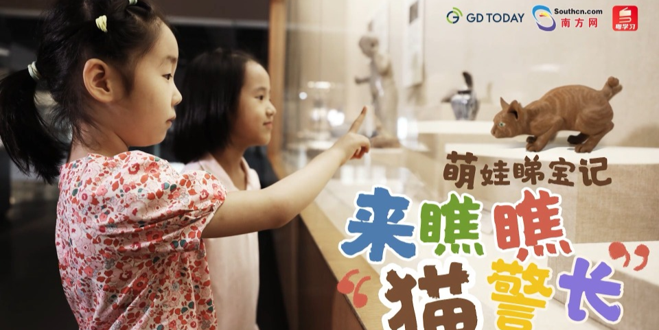 Treasure Hunt with Kids | "Celebrity Cat" in Guangdong Museum Treasure Hunt with Kids | "Celebrity Cat" in Guangdong Museum