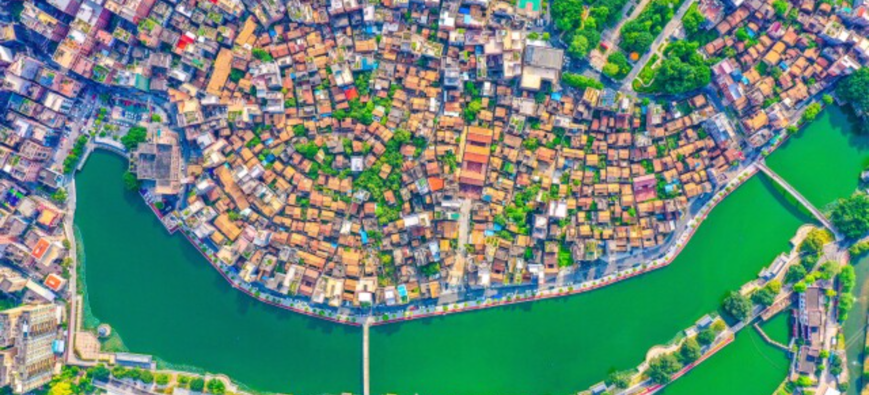 Harmonious and beautiful villages bloom across Pearl River Delta
