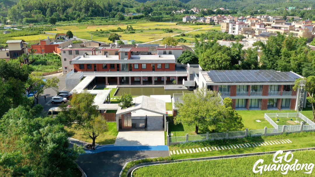 Fogang County: Konjac industry empowers rural development