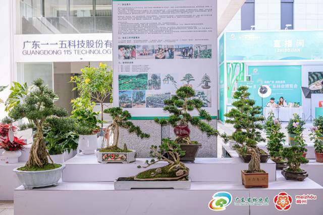 往届广东林博会盛况。