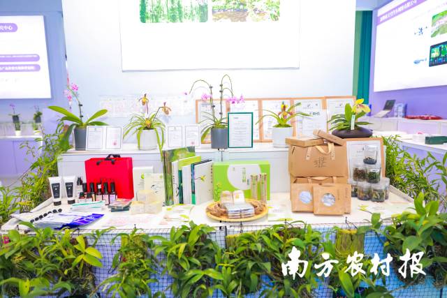 深圳市兰科植物保护研究中心展位摆满了科研成果。