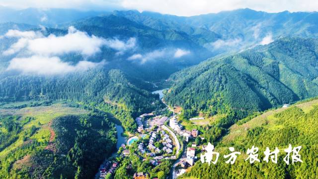 和平温泉之都森林康养基地