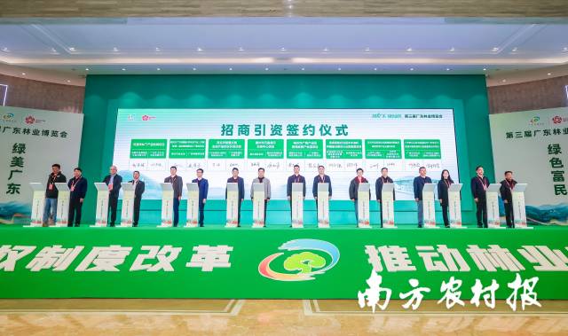 林业招商引资签约仪式 林业招商引资签约仪式