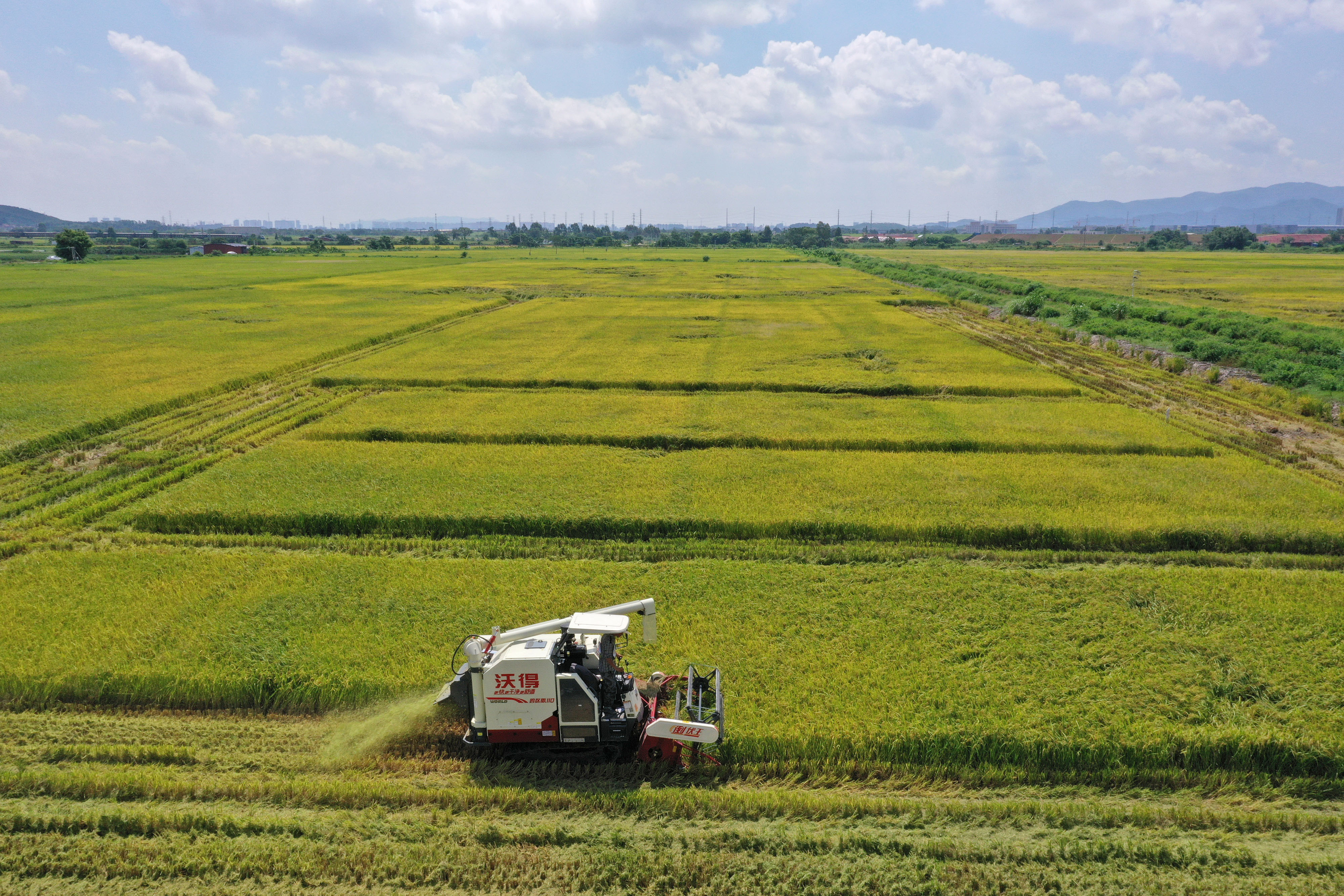 Guangdong lifted 1.615 million impoverished people out of poverty