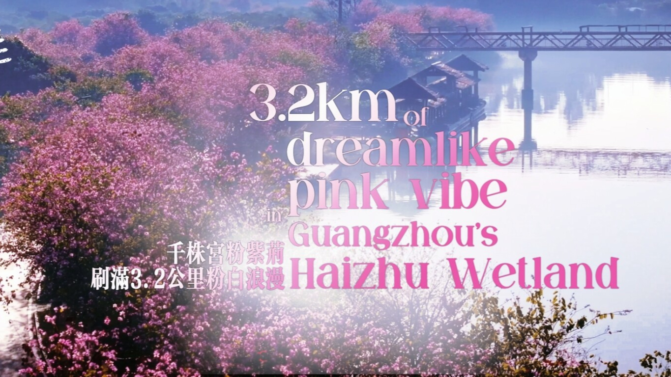 3.2 km of dreamlike pink vibe in Guangzhou's Haizhu Wetland | MicroInPixels