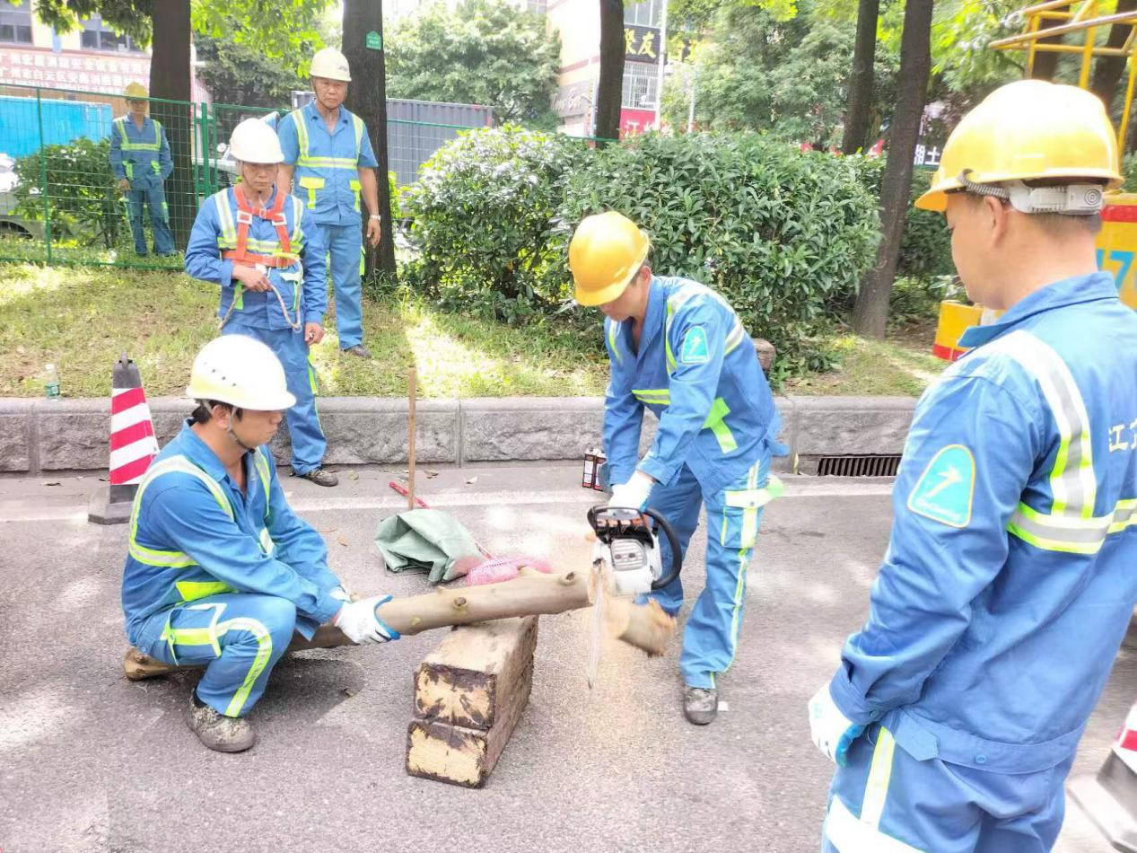 江高镇市政服务所绿化工人在规定时间内运用“三锯法”完成油锯的安装、裁剪及木屑清扫。