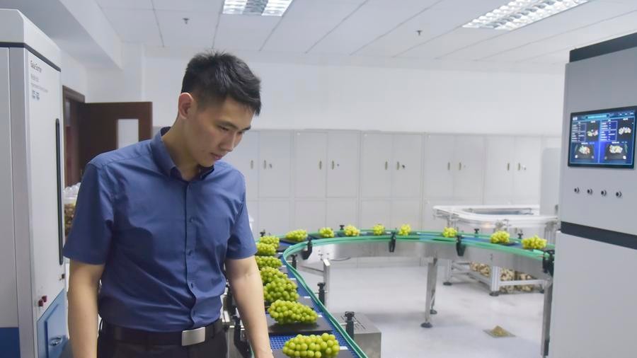 Chinese farmers use AI tech to boost harvest