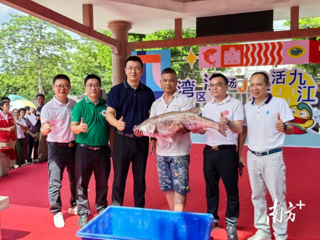 经过多轮竞价，九江“鱼王”拍出了8888元的高价，竞拍所得将用于沙口社区的慈善助困工作。