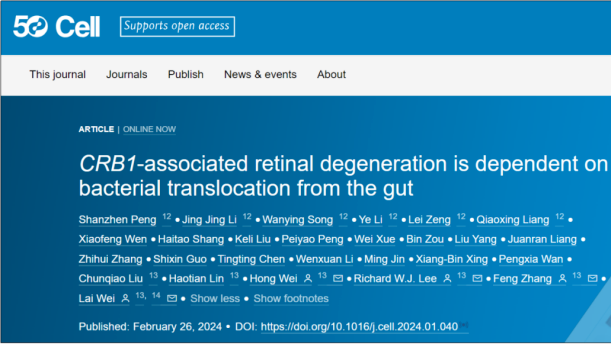 GD researchers uncover gut bacteria's role in hereditary retinal diseases