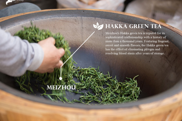 Pre-Qingming Tea in Guangdong | Meizhou: Hakka Green Tea