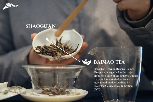 Pre-Qingming Tea in Guangdong | Shaoguan: Baimao (White-hair) Tea
