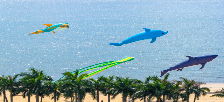Autumn Wind Picks Up! Let's Fly Kites in Guangdong
