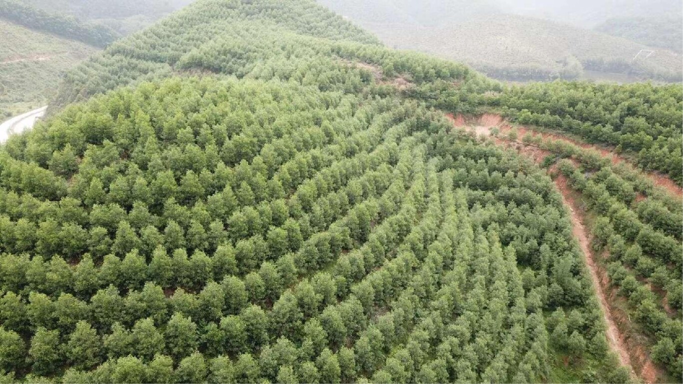 广东省科技成果总量再创新高