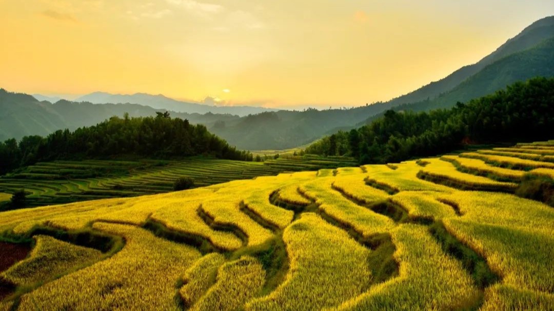 A guide to Qingyuan's autumn and winter scenery