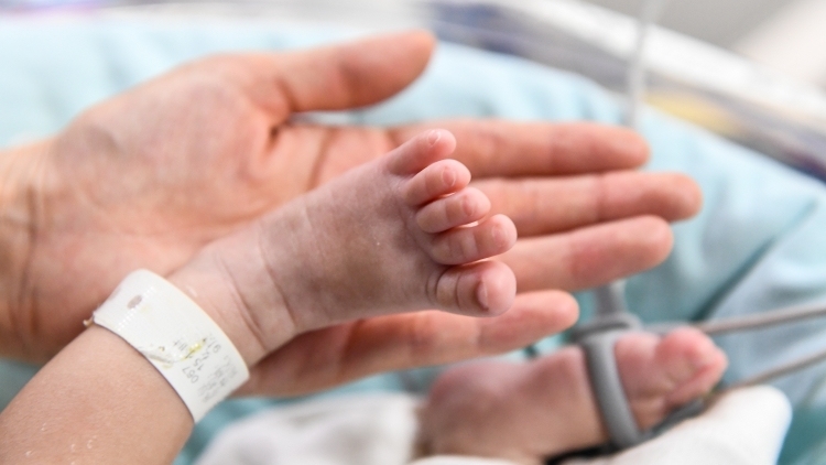 连续7年全国第一，广东“敢生”的底气在哪？