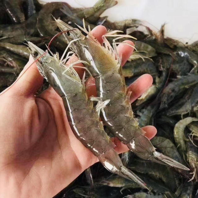 南方农村报 孙岁寒 拍摄