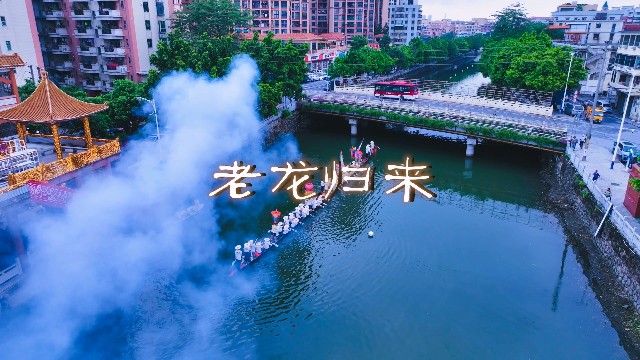 南粤年俗大观｜佛山：锦龙盛会，龙马精神