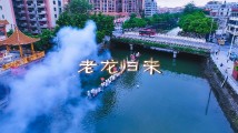 南粤年俗大观|佛山:锦龙盛会,龙马精神 南粤年俗大观|佛山:锦龙盛会,龙马精神