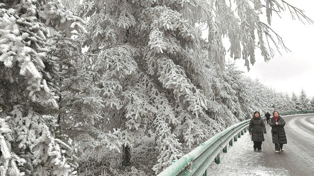 暴雪+冰冻双预警持续！这些地区需注意