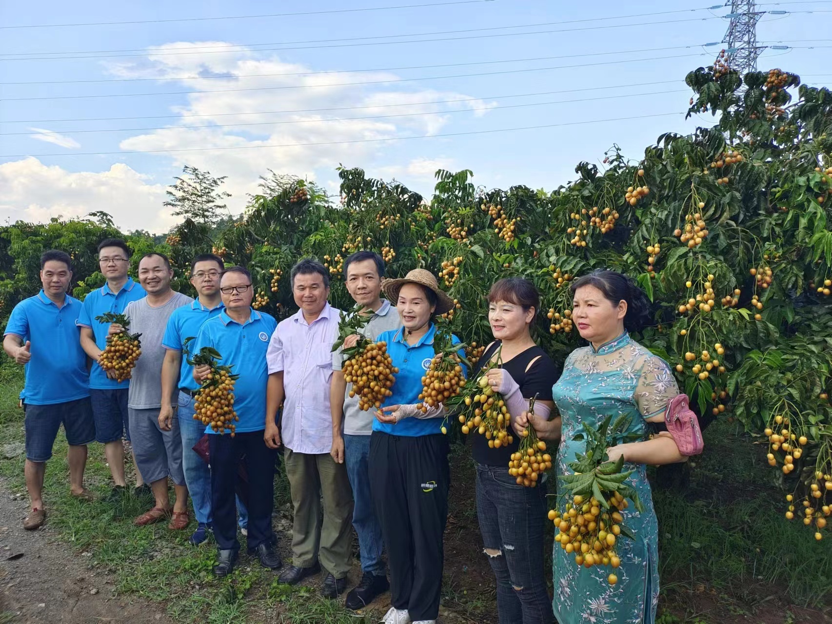 挂点手记 | 郁南大湾镇卫星村：健全联农带农机制 特色产业结“富果”