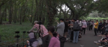 Guangdong enters best viewing season for fireflies and where to see Guangdong enters best viewing season for fireflies and where to see